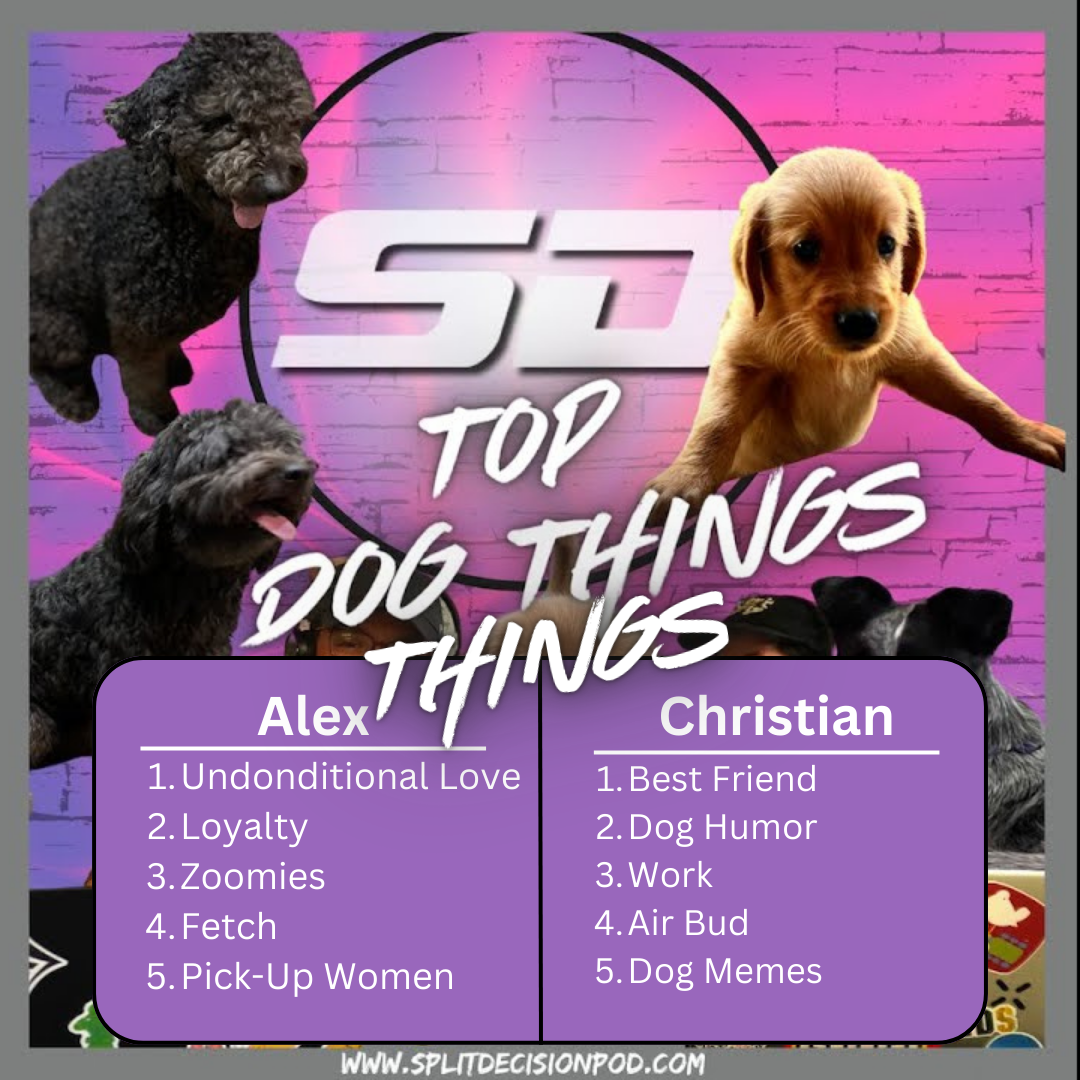 Top Dog Things